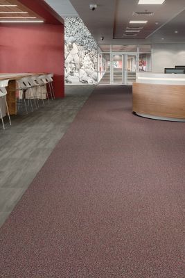 Learn and Live - Miranda Stitchlock - Broadloom