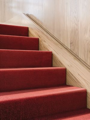 Color Study - 362, Red Pepper - Broadloom