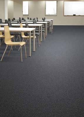 High Concepts - Start Right - Broadloom