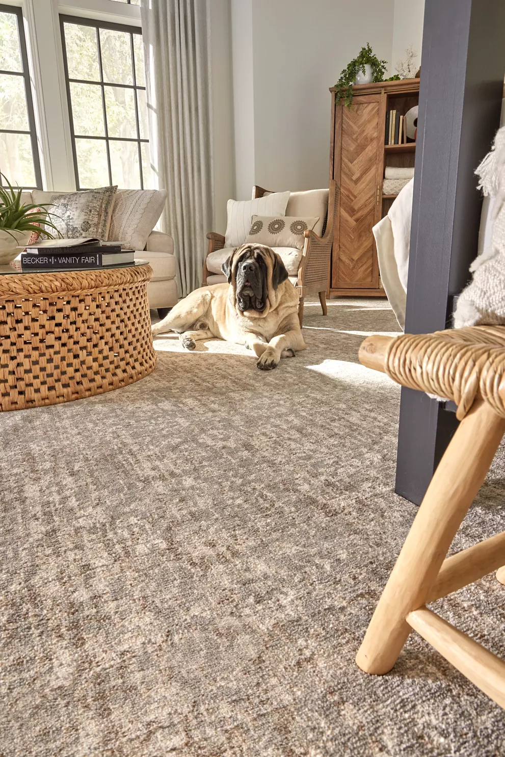 Smartstrand carpet new arrivals