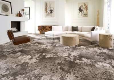 maximalist living room scene with carpeted flooring