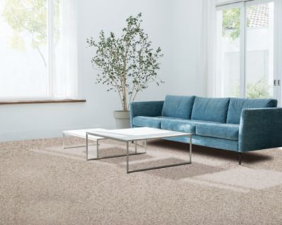 PetPremier Carpet in Oyster - Mohawk Flooring