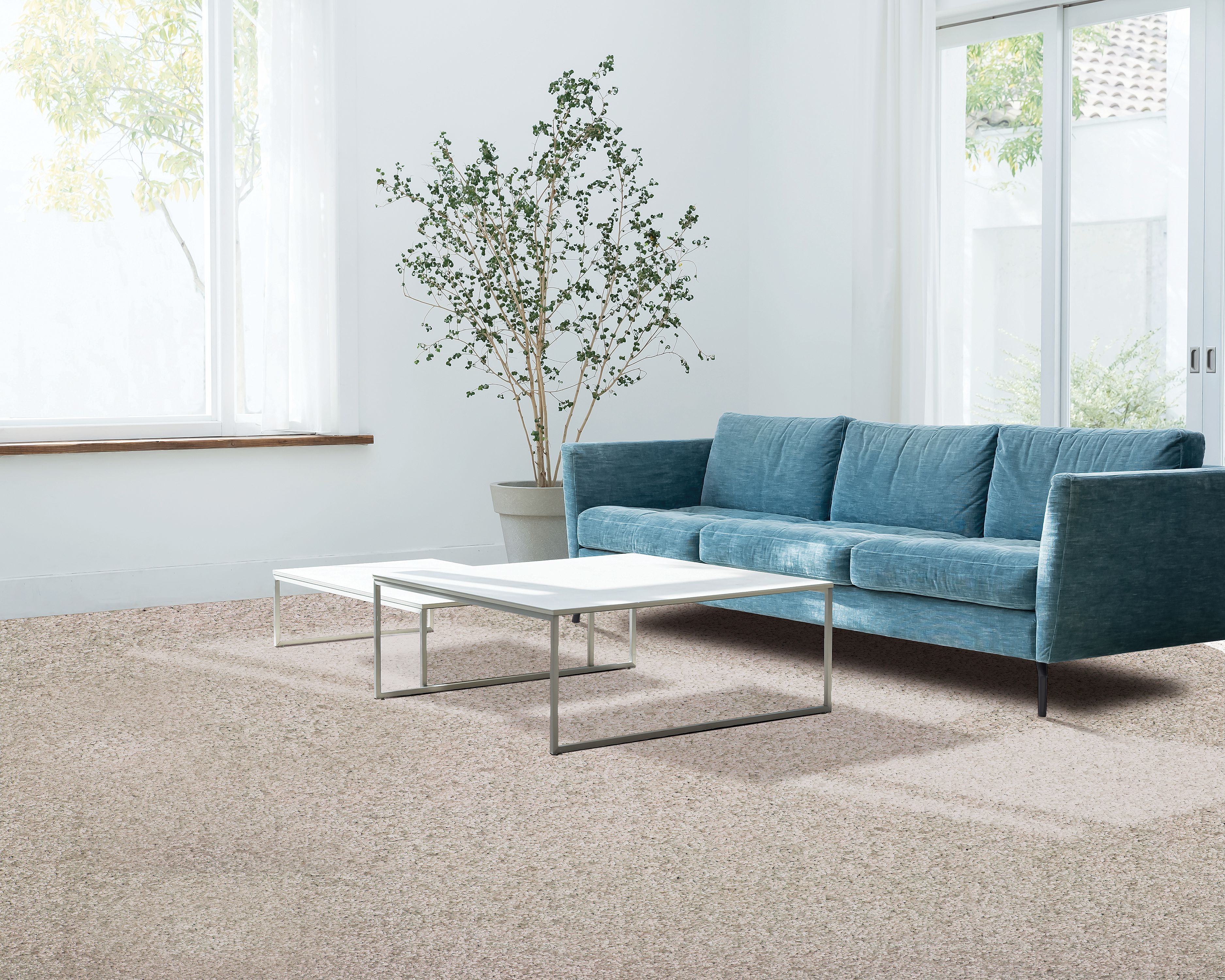 Canine Comfort, Frosty Spice, Carpet | Mohawk Flooring