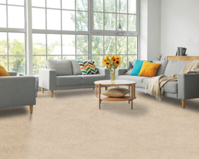PetPremier Carpet in Breeze - Mohawk Flooring