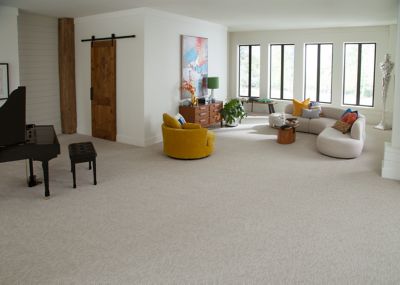 Carpeted living room with beautiful white carpet
