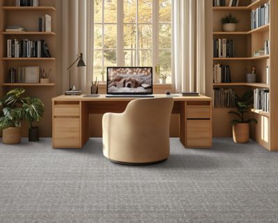 PetPremier Carpet in Stone Bark - Mohawk Flooring