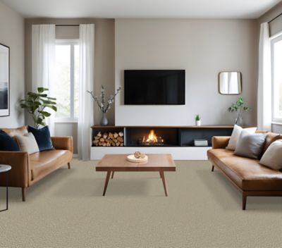 Pet Premier Carpet in Shadow - Mohawk Flooring