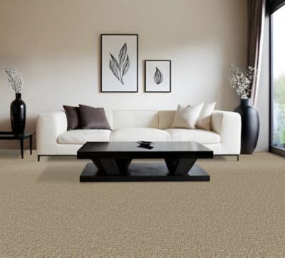 PetPremier Carpet in Soapstone - Mohawk Flooring