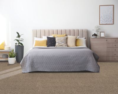 PetPremier Carpet in Oyster - Mohawk Flooring