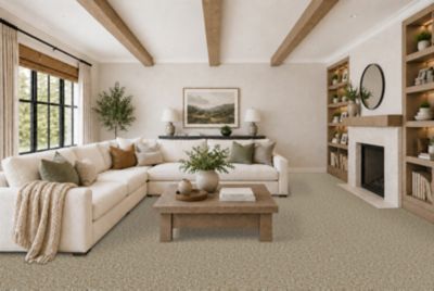 Pet Premier Carpet in Barn Owl - Mohawk Flooring
