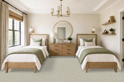 Pet Premier Carpet in Winter - Mohawk Flooring