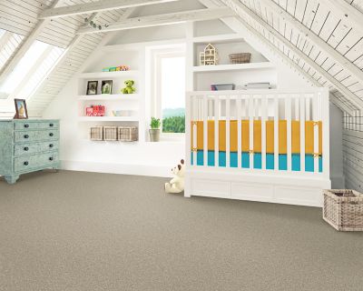 PetPremier Carpet in Soapstone - Mohawk Flooring