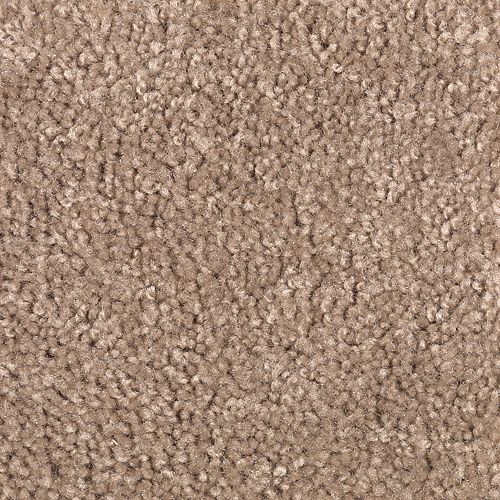 Cocoa Powder