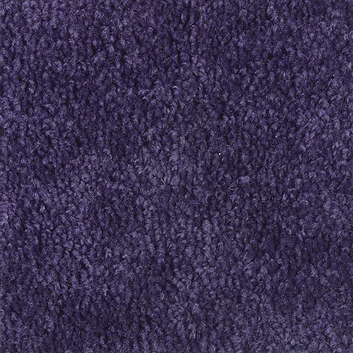 Dw#8780 by Mohawk Industries - Persian Violet