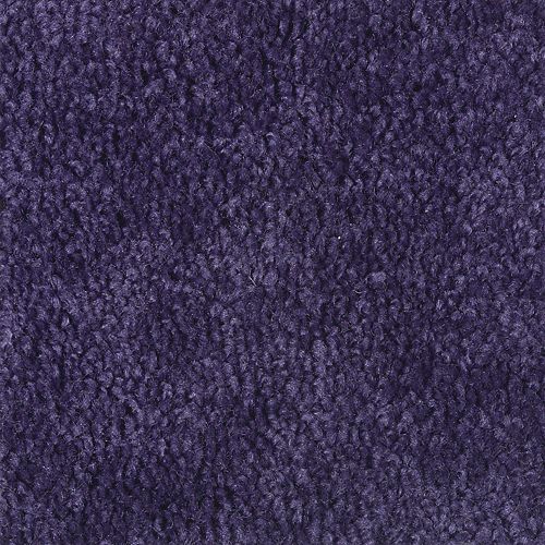 Persian Violet