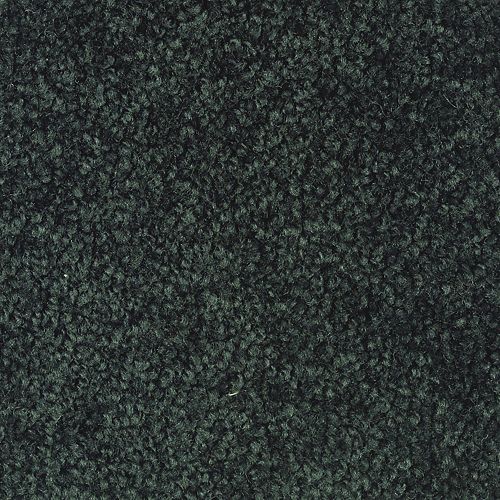 Hemlock