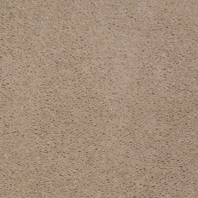 Mohawk Industries Accelerator Plus Barn Swallow Carpet Tampa Fl