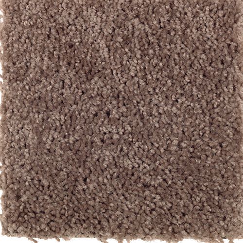 Mohawk Industries Dealer S Choice Fallen Timber Carpet East