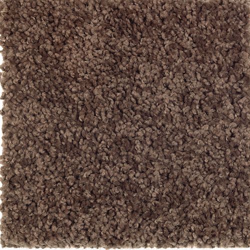 Mohawk Industries Dealer S Choice Native Soil Carpet Amherst