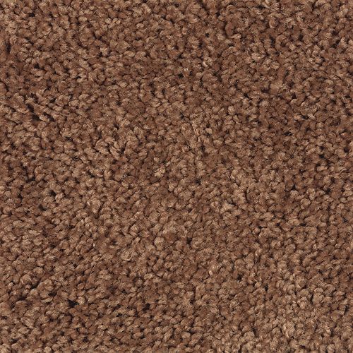 Mohawk Industries Famous Fair Copper Penny Carpet Sedona