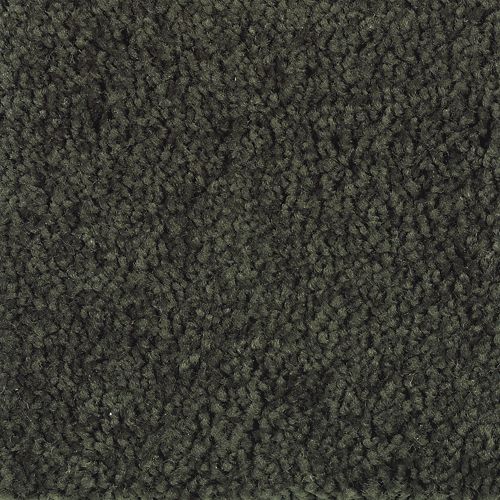 Mohawk Industries Manchester Gardens Grecian Olive Carpet Maple