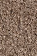 Mohawk Solo - Warm Earth Carpet