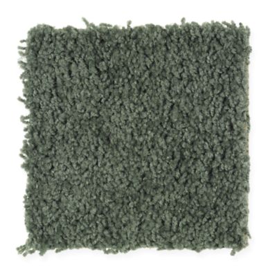 Mohawk Industries Splurge New Forest Carpet Nashville Tennessee