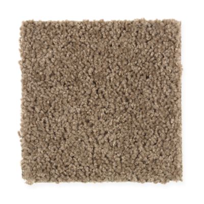 Mohawk Industries Outright Log Cabin Carpet San Angelo Texas