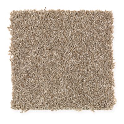 Mohawk Industries Lasting Distinction Silk Wood Carpet