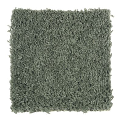 Mohawk Industries Celebrate New Forest Carpet Las Vegas Nv