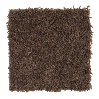 Chocolate Brown Carpet Tiles Carpet Vidalondon