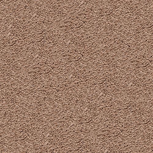 Cedar Beige