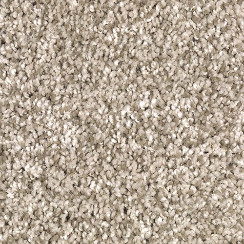 Mohawk Industries Country Estate Taupe Haze Carpet Valley