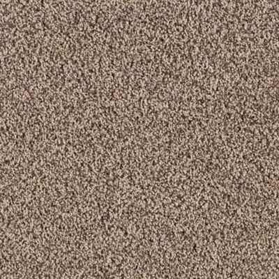 Mohawk Industries Country Estate Leather Suede Carpet Shelburne