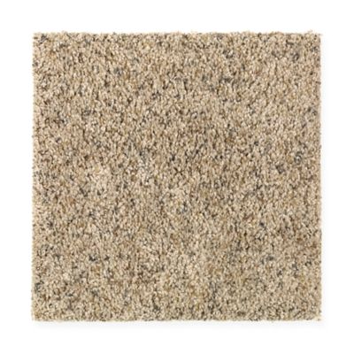 Mohawk Industries Amazing Inspiration Barn Swallow Carpet Cedar