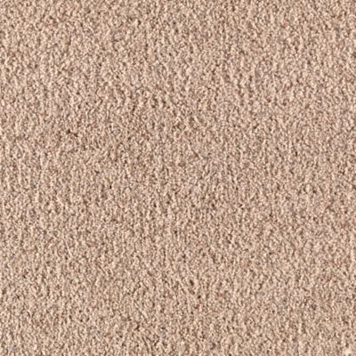 Mohawk Industries Coastal Content Autumn Leaf Carpet California