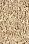 Mohawk Zen Garden - Summer Straw Carpet