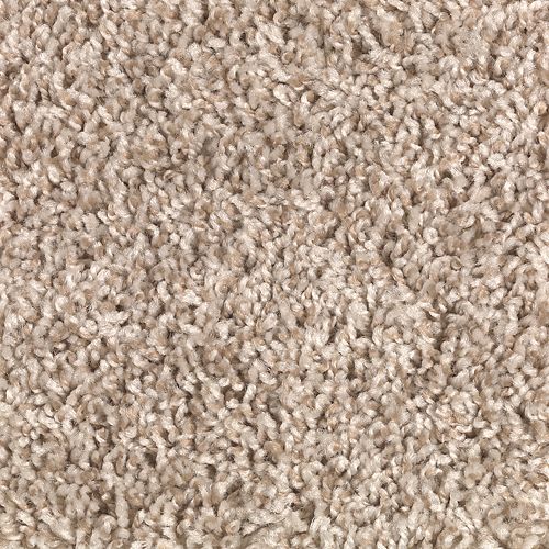 Mohawk Industries Easy Street Champagne Carpet Longs Myrtle
