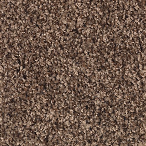 Mohawk Industries Shoreline Cigar Leaf Carpet Longs Myrtle