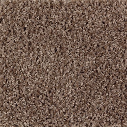 Mohawk Industries Soft Decor Coppersheen Carpet Denton San