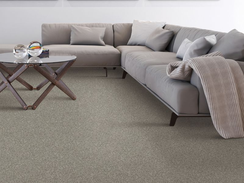 SmartStrand Stain Resistant Carpet, Stain Proof Carpet & Carpets