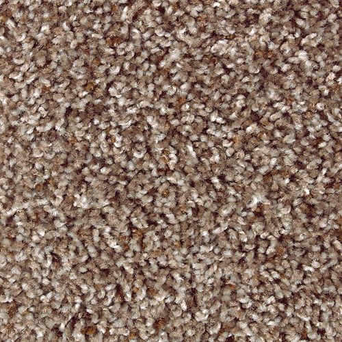 Mohawk Industries Artistic Nature Granite Illusion Carpet
