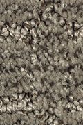 Mohawk Refined Interest - Black Walnut Carpet