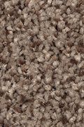 Mohawk Tonal Chic II - Royal Pecan Carpet