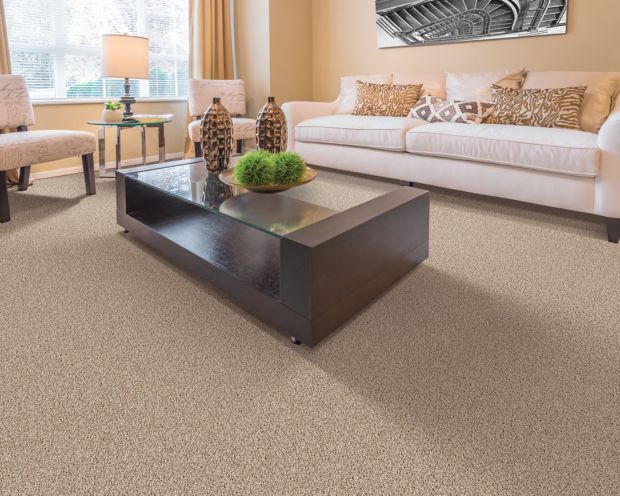 Mohawk Industries Color Connection Ivory Mist Carpet ...