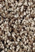 Mohawk Softly Elegant II - Caramel Ripple Carpet