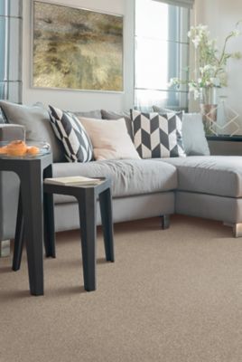 Product Line Kashmere Style Tranquil Shades(43636) Color Mineral(9809) Karastan