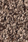 Mohawk Soft Dimensions II - Stratford Brown Carpet