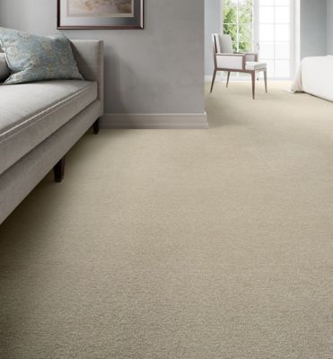 Mohawk Group, Broadloom, Commercial Nylon Broadloom Carpet on Weldlok is a composite construction that includes a nylon face