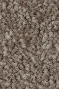 Mohawk Homefront II - Pecan Bark Carpet
